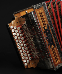 Stachl B, Es, As Almrausch